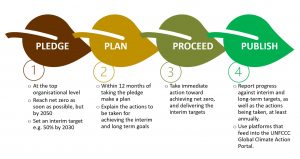 inconsult net zero